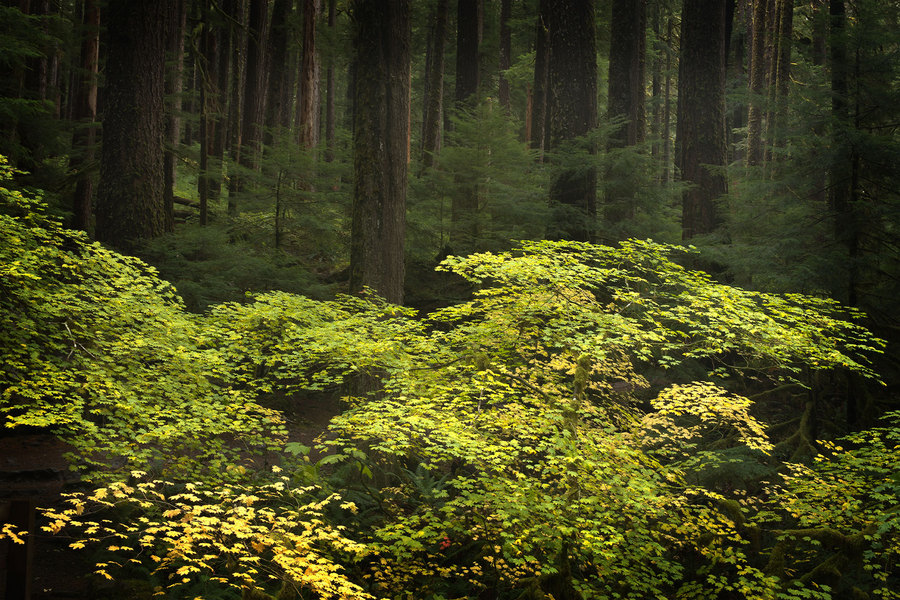 Serenity : Solitude : JOHN MURK PHOTOGRAPHY