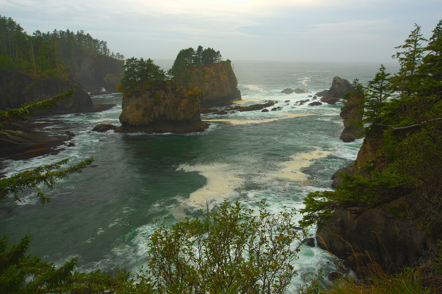 Untamed Twins - Cape Flattery : Shorelines : JOHN MURK PHOTOGRAPHY