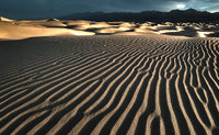 Ripples in the Sand Death Valley