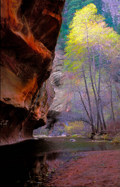 Face off : Solitude : JOHN MURK PHOTOGRAPHY
