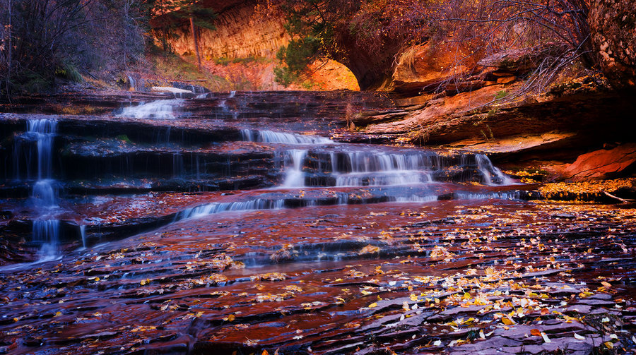 Angel Falls : Zion National Park : JOHN MURK PHOTOGRAPHY