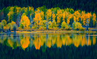 Snake River Reflection