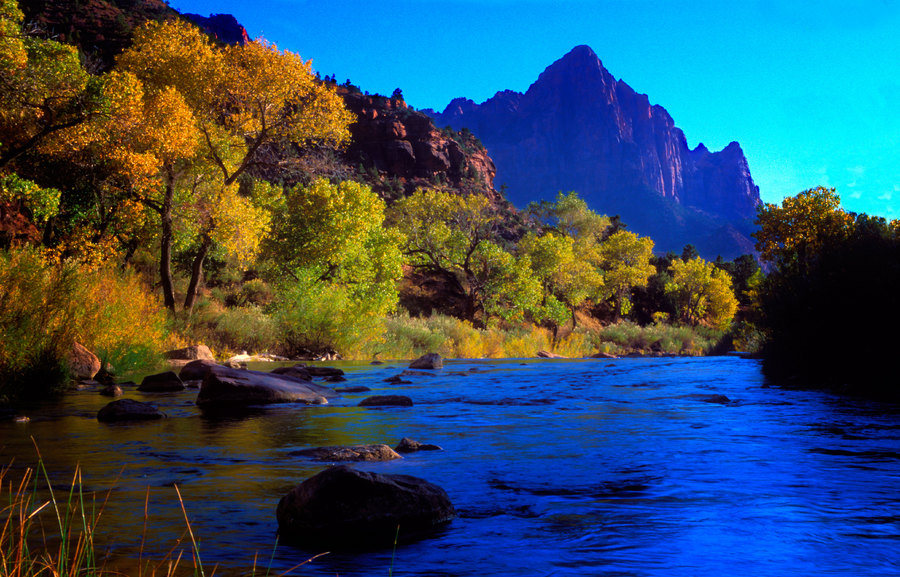 Virgin River : Zion National Park : JOHN MURK PHOTOGRAPHY