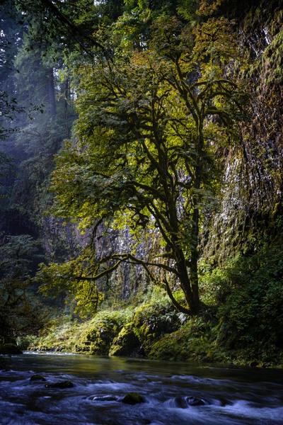 Splendor : Solitude : JOHN MURK PHOTOGRAPHY