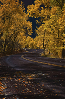 Around the Bend