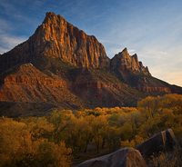 The Watchman