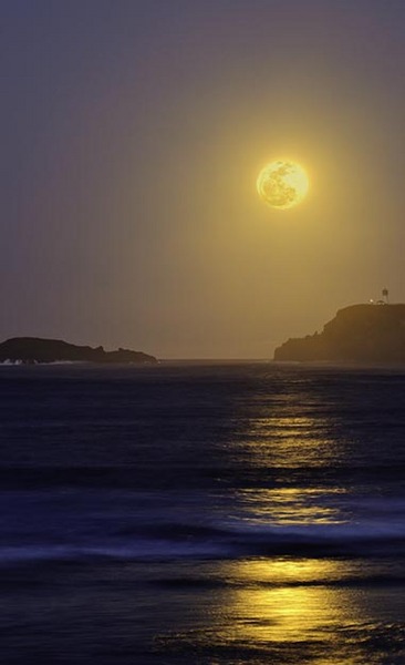 Kiluaea Moonrise : Hawai'i : JOHN MURK PHOTOGRAPHY