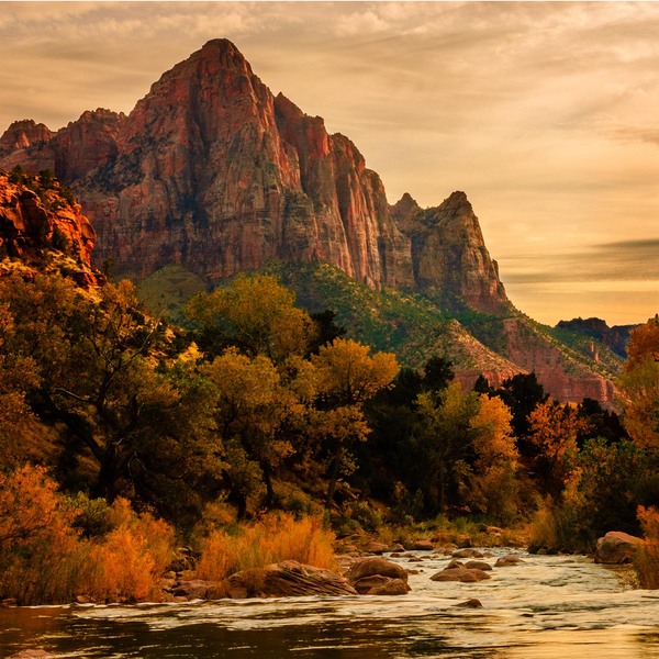 Watchman Sunset : Zion National Park : JOHN MURK PHOTOGRAPHY