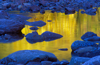 Reflections