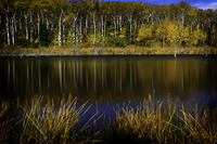 Many Glacier Pond