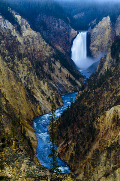 Yellowstone Falls : Yellowstone National Park : JOHN MURK PHOTOGRAPHY