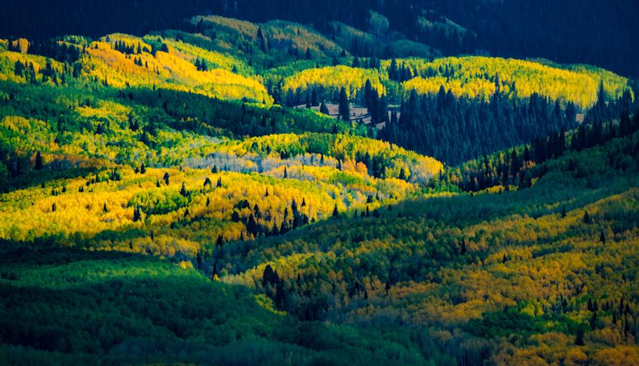Scofield Pass : Colorado : JOHN MURK PHOTOGRAPHY