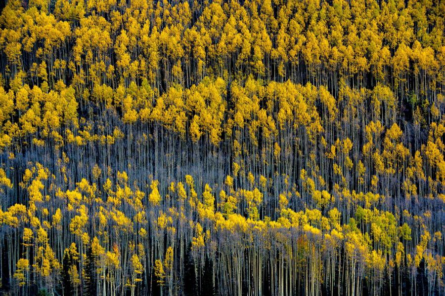 Purgatory : Colorado : JOHN MURK PHOTOGRAPHY